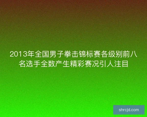 2013年全国男子拳击锦标赛各级别前八名选手全数产生精彩赛况引人注目