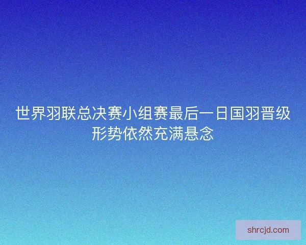 世界羽联总决赛小组赛最后一日国羽晋级形势依然充满悬念